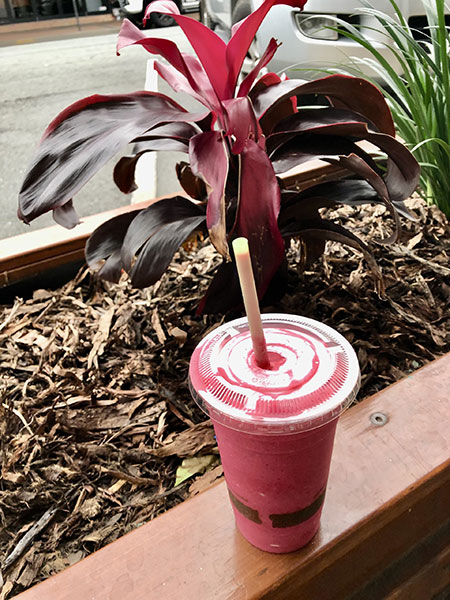nourish your body